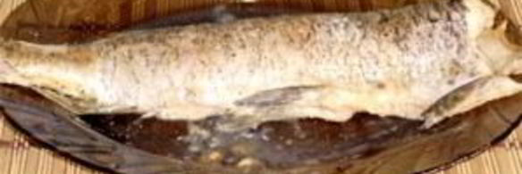 щука со сметаной в духовке