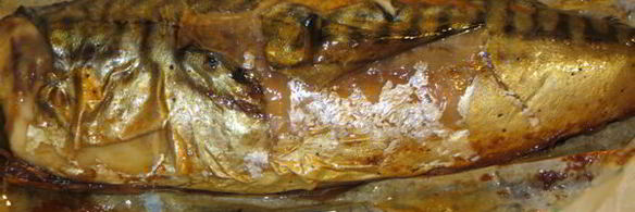 скумбрия горячего копчения