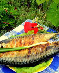 Скумбрия на гриле