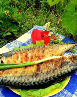Скумбрия на гриле