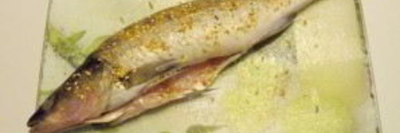 судак в духовке, запеченный в фольге