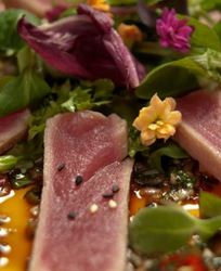 Тунец с острой сальсой и салатным миксом