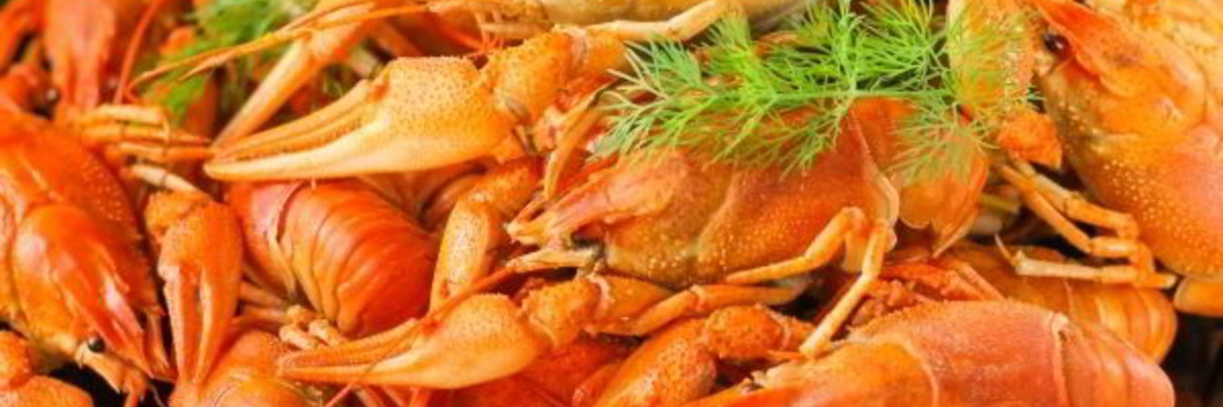 Вареные раки в мультиварке