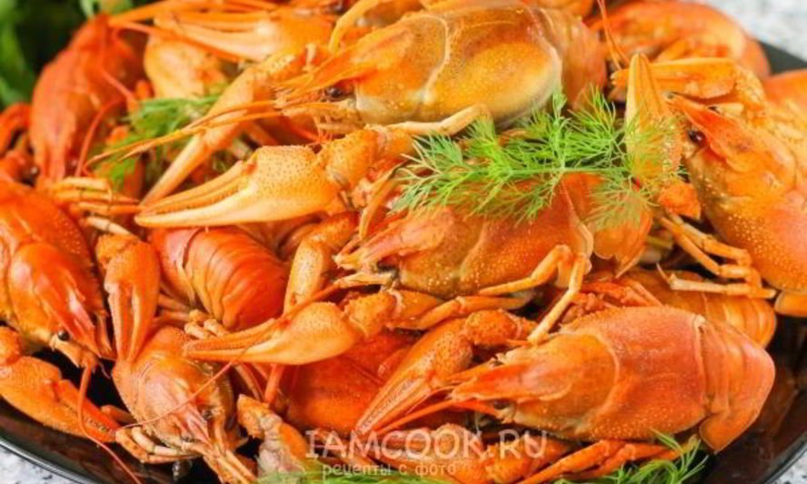 Рецепт вареных раков в мультиварке