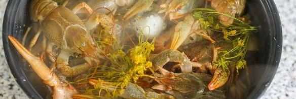 вареные раки в мультиварке