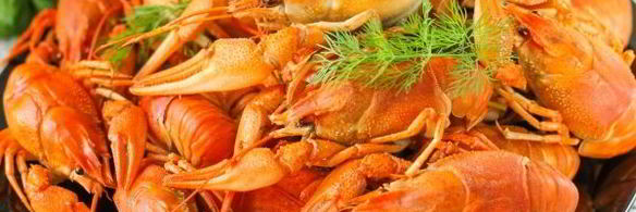 вареные раки в мультиварке