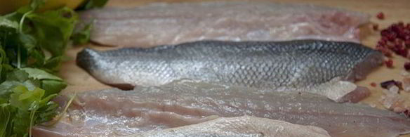 жареный сибас с ремуладом из корня сельдерея, зернистой горчицы и салатом рукола