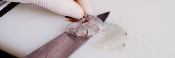 шафрановая лапша с креветками