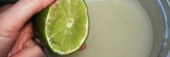 полинезийский шашлык