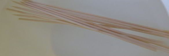 шашлычок из лосося