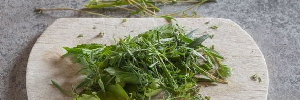 шашлык из баранины на кефире