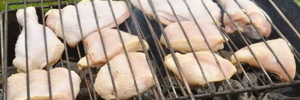 шашлык из курицы с уксусом и луком