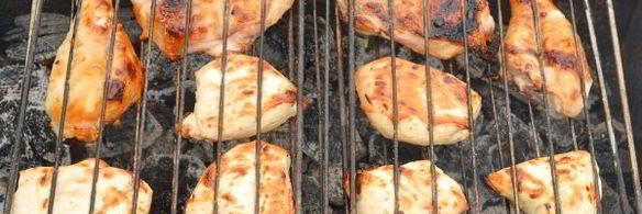 шашлык из курицы с уксусом и луком