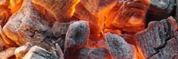 шашлык из курицы в майонезе