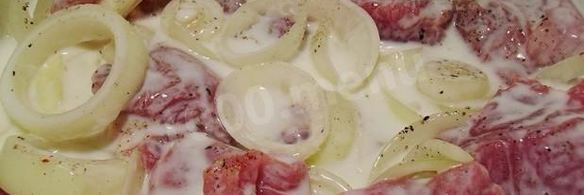шашлык из свинины с луком