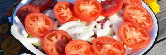 шашлык из свиной вырезки