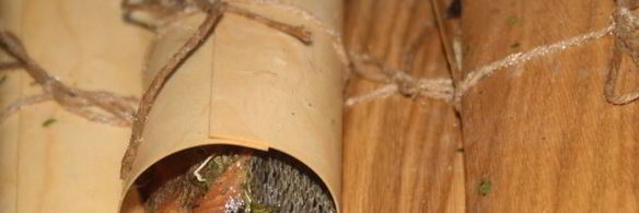 стейки форели в гриль-бумаге на мангале