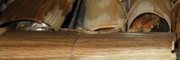 стейки форели в гриль-бумаге на мангале