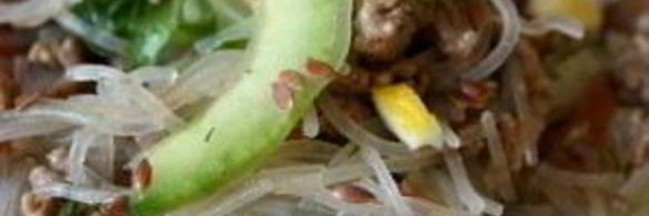 стеклянная лапша с фаршем и овощами