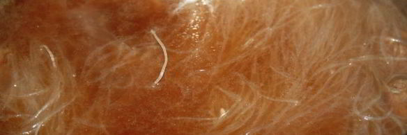 фунчоза с говяжьими тефтельками и овощами