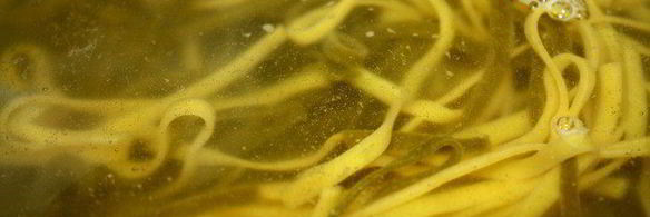 паста с куриными тефтелями под тыквенным соусом