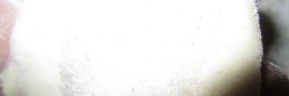 паровые вареники с вишней и клубникой