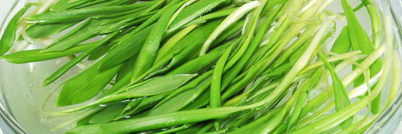 вареники из ржаного теста с творогом и черемшой