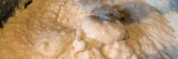 вареники по-украински