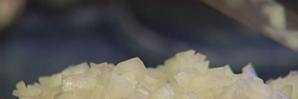 вареники с картофелем, беконом и укропом