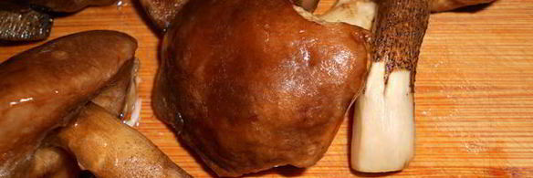 жаркое с грибами в мультиварке