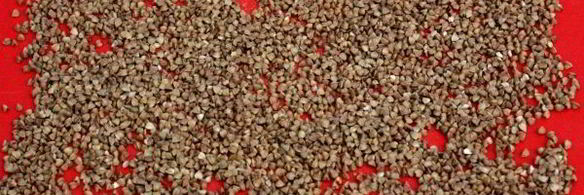 гречка в мультиварке