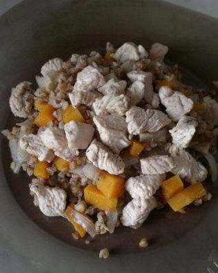 Гречневая каша с тыквой, луком, имбирем и грудка индейки