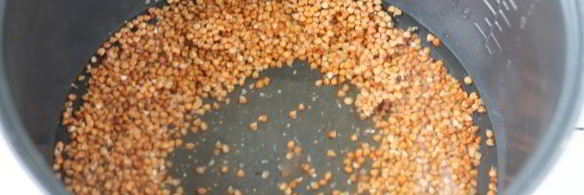 молочная гречневая каша в мультиварке