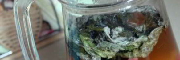 холодный чай с персиками, нектаринами и мятой