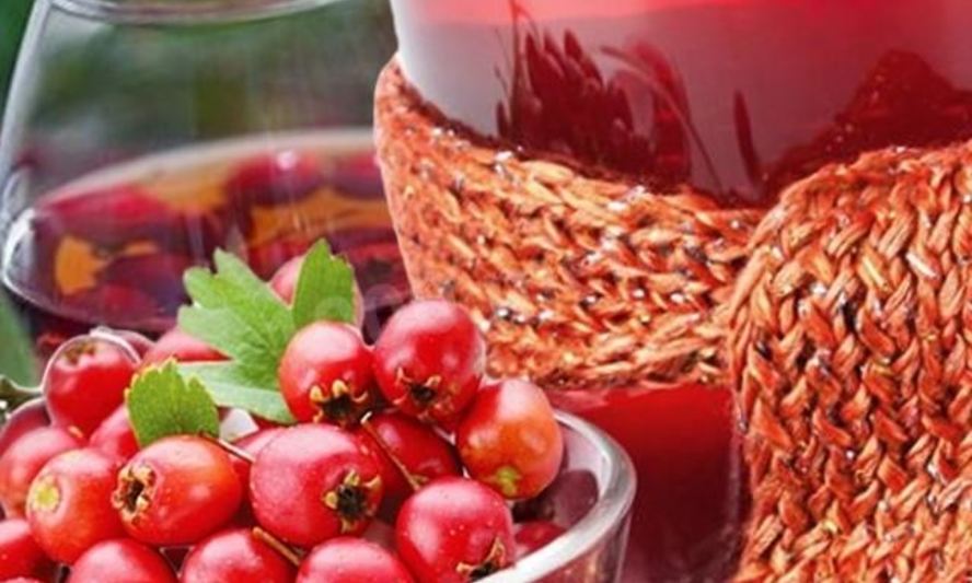 Рецепт домашнего вина из ирги