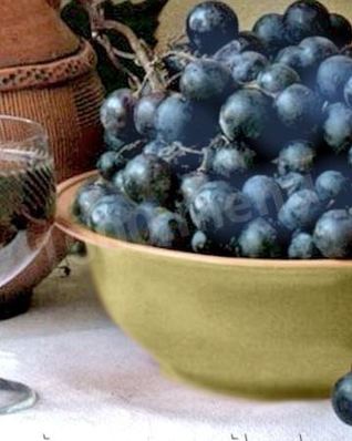 Домашнее вино из синего винограда