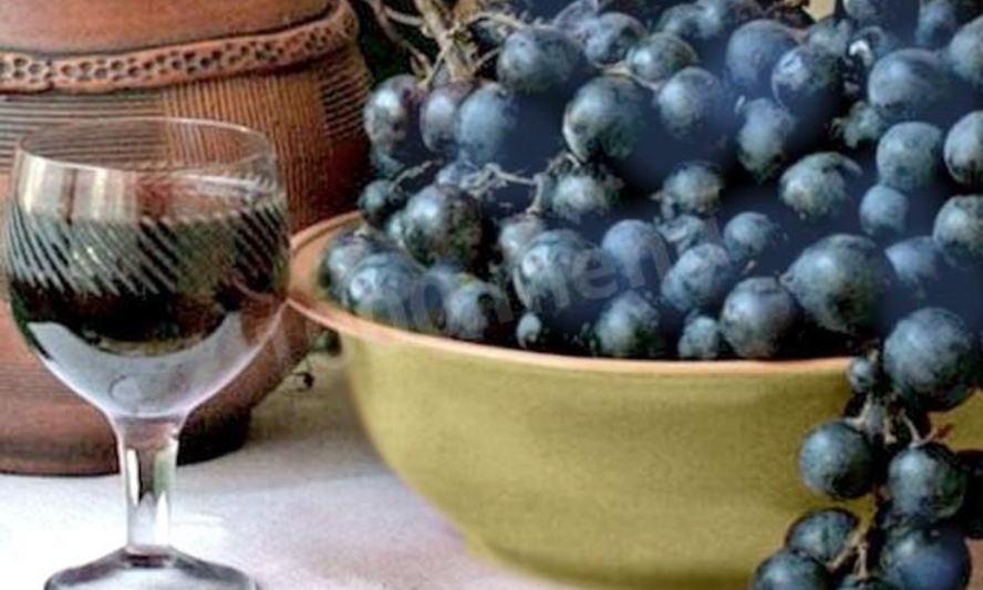 Рецепт домашнего вина из синего винограда