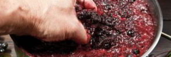 домашнее вино из ягод