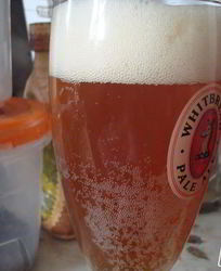 Домашнее живое пиво