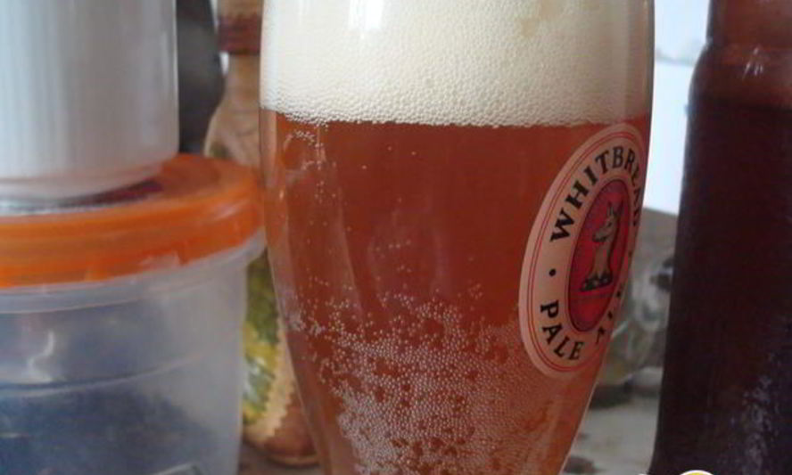 Рецепт домашнего живого пива