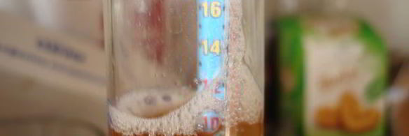 домашнее живое пиво