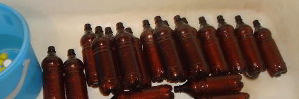 домашнее живое пиво