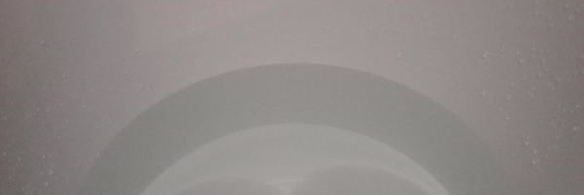 домашнее живое пиво