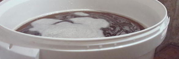 домашнее живое пиво