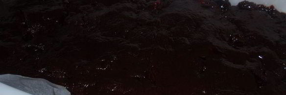 кофейно-клюквенный брауни с калиновым сиропом