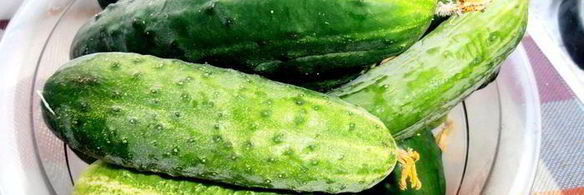 коктейль огуречно-мятная свежесть