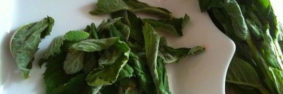 мятный сироп