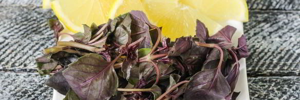 напиток из базилика