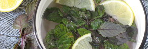 напиток из базилика