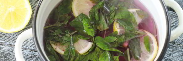 напиток из базилика